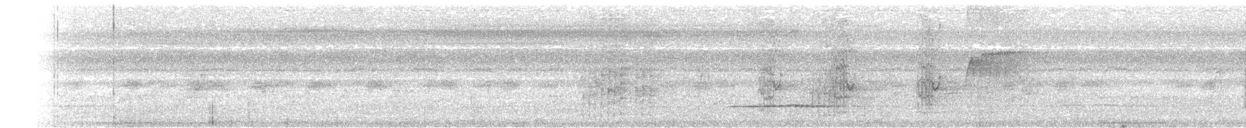 Little Tinamou - ML646158367