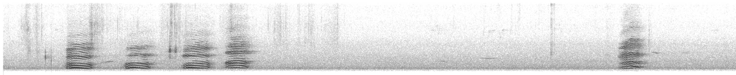 Neuhollandkrähe (coronoides) - ML646158575