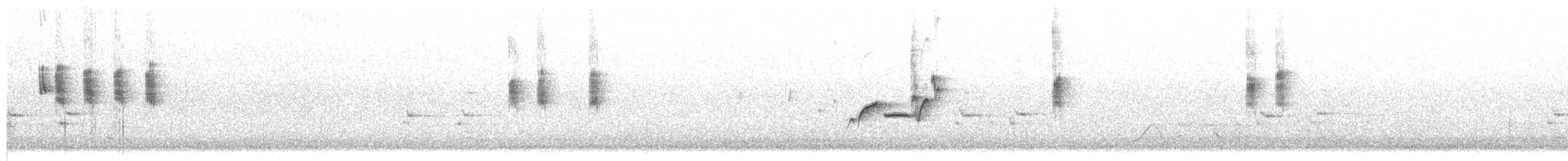 Gelbbauch-Dornschnabel - ML646158582