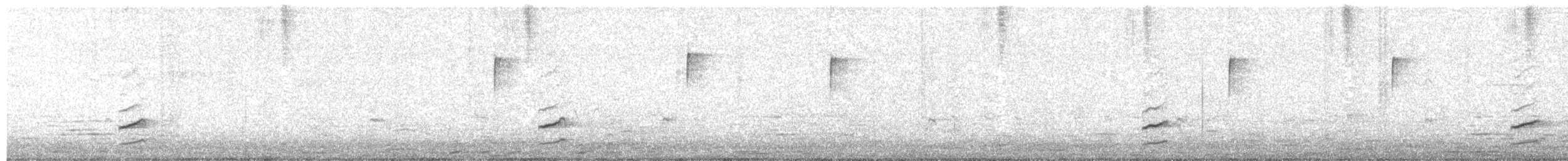 Trauerseidenschnäpper - ML646158742