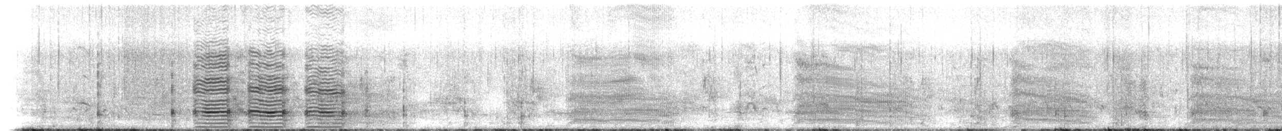 Schwarzscharbe - ML646158943