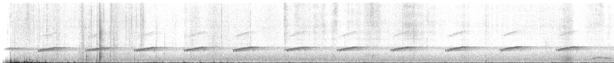 Zwergkiwi - ML646159396