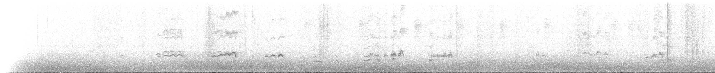 Zwergpinguin - ML646159408