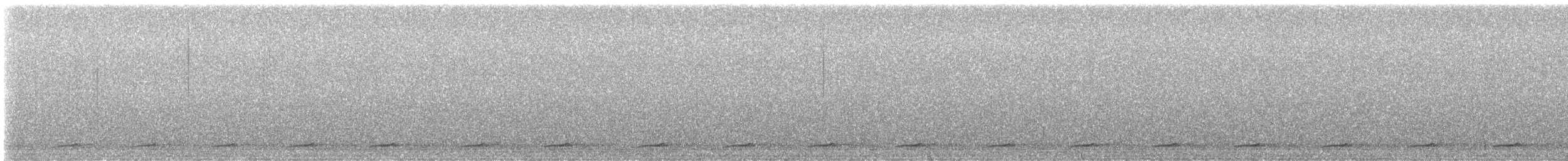 Northern Saw-whet Owl - ML646159931