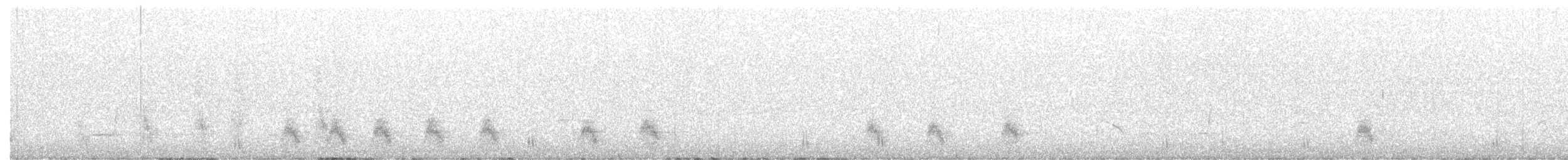 Eastern Whipbird - ML646160054