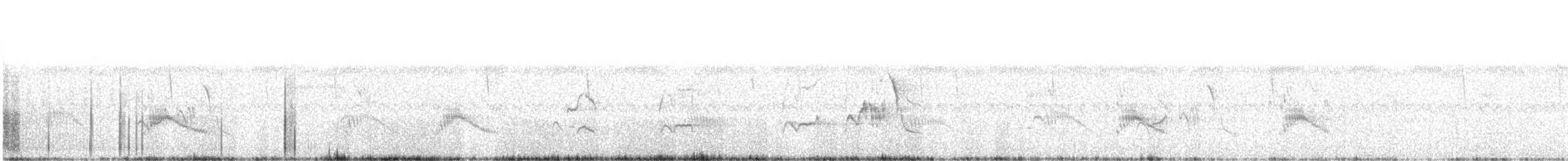 Couch's Kingbird - ML646160094