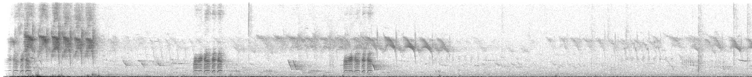 Red-crowned Parakeet - ML646160572