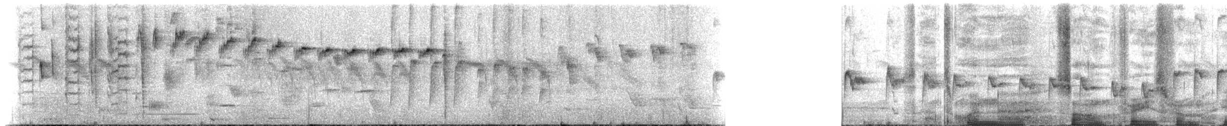 New Zealand Fantail - ML646160592