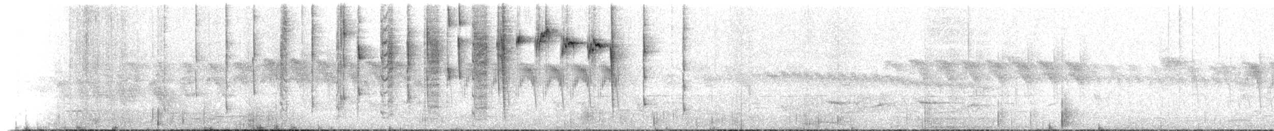 New Zealand Fantail - ML646160594