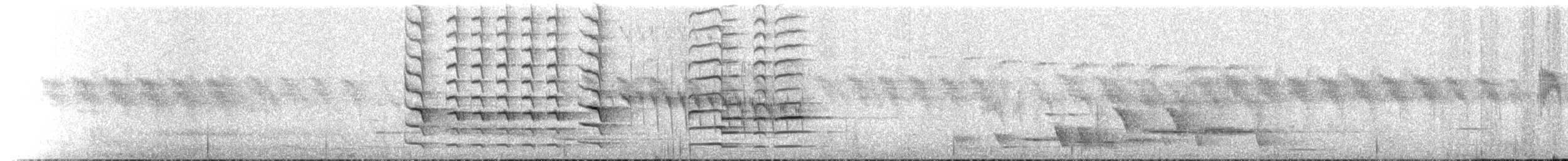 North Island Saddleback - ML646160601