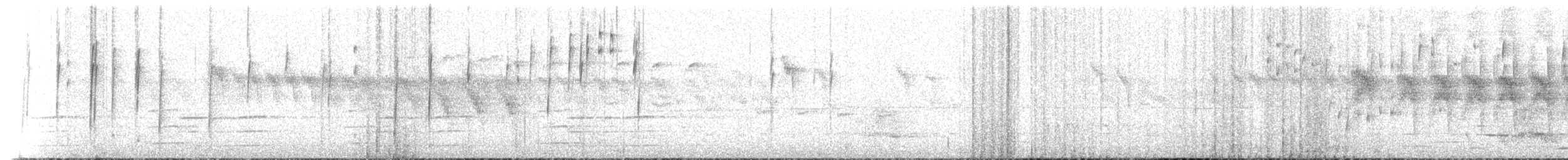 North Island Robin - ML646160603