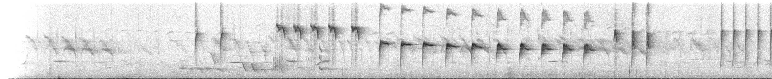 North Island Robin - ML646160604