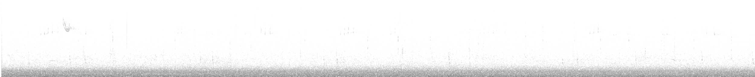 Hermit Thrush - ML646160666