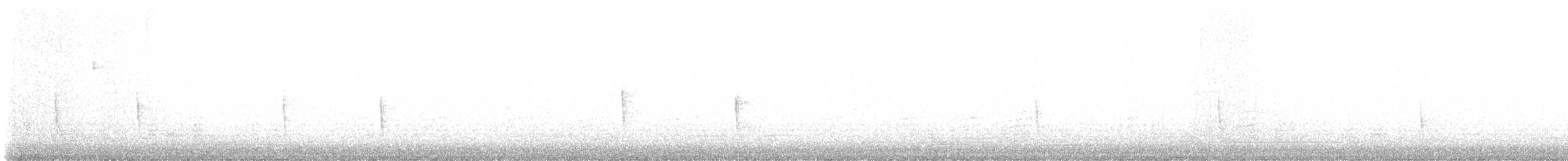 Hermit Thrush - ML646160682