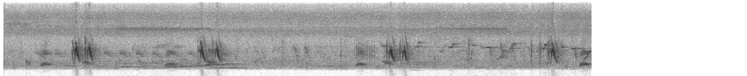 Plain-backed Sparrow - ML646162483