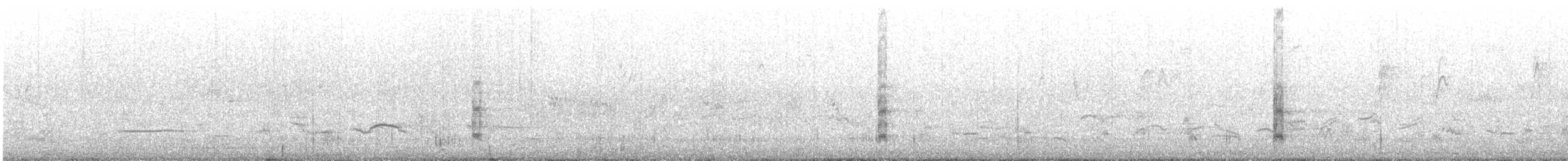 Eurasian Coot - ML646162864