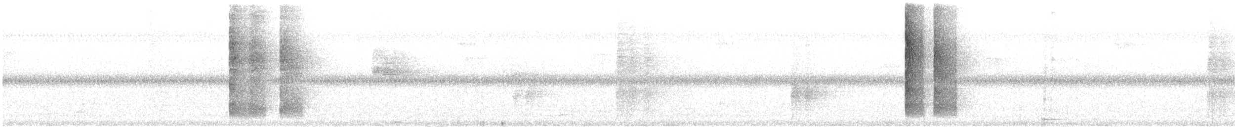 Белопоясничный шама - ML646162987