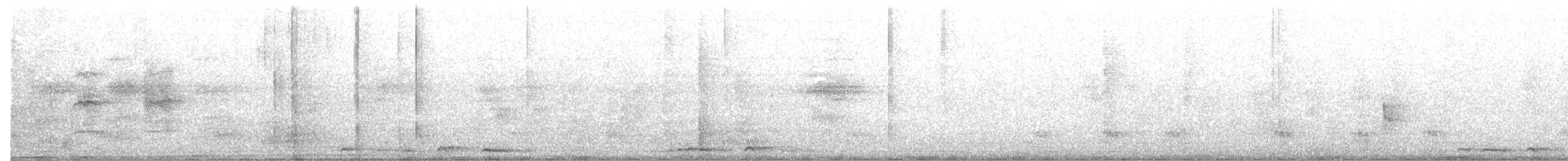 holoubek bronzovohřbetý - ML646164146