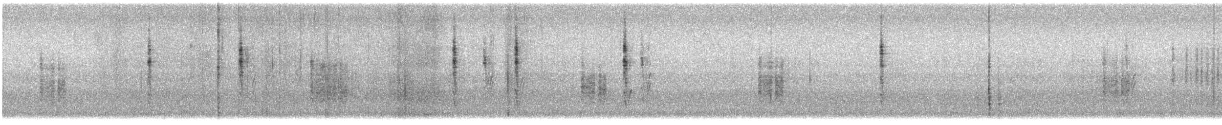 budníček perský - ML646164363