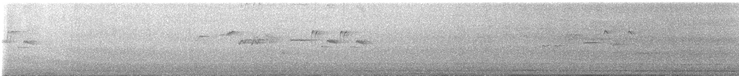 Plumbeous Redstart - ML646164388