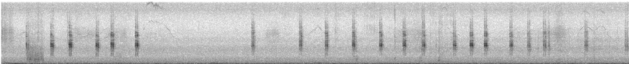 budníček perský - ML646164414