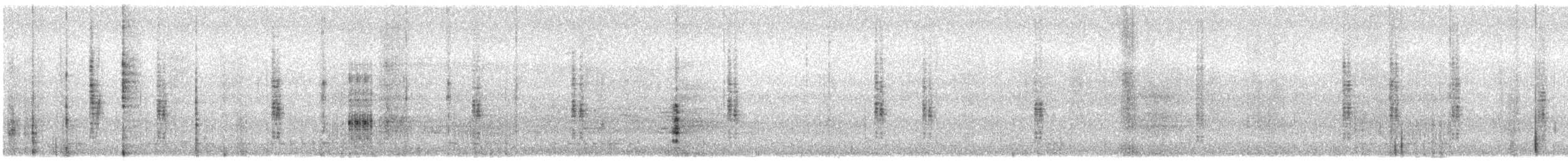 budníček perský - ML646164415