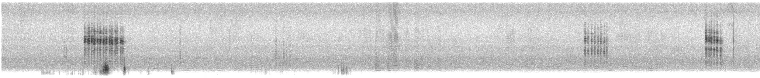 pěnice pokřovní (ssp. minula) - ML646164438