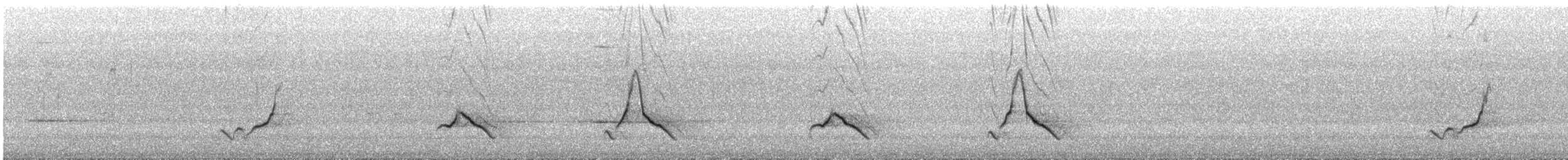 Black-faced Monarch - ML646164663