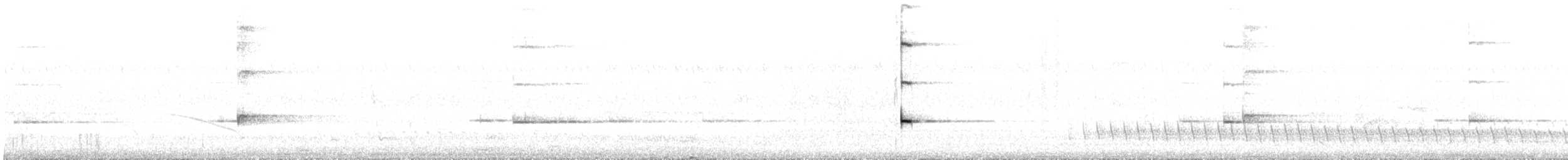 medosavka zvonkohlasá - ML646164664