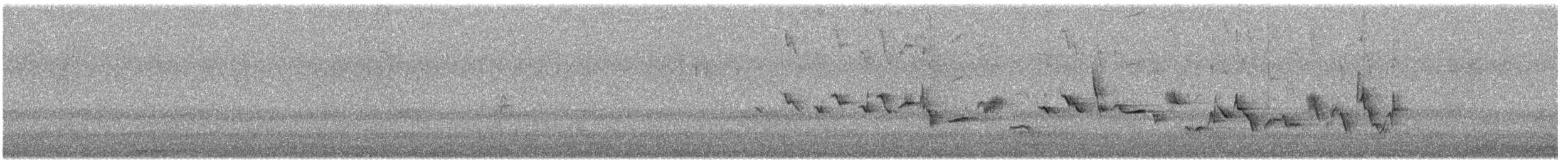 hýl rudoprsý - ML646164702