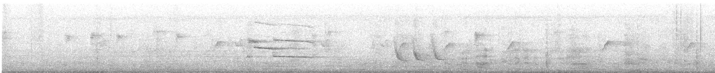 zoborožec klínoocasý - ML646164988