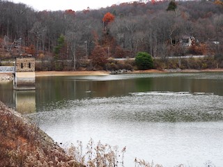 Lake Oneida, Butler, Pennsylvania, United States - eBird Hotspot