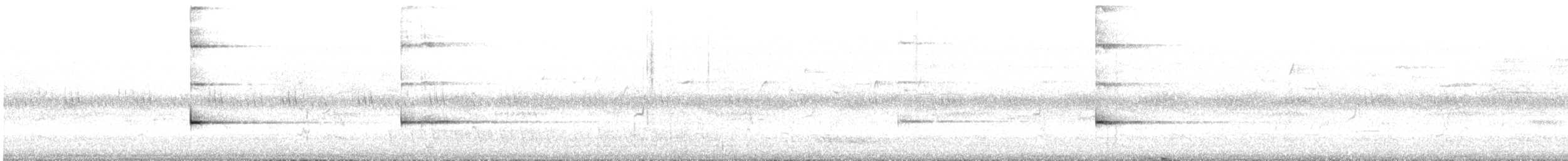 Glockenhonigfresser - ML646165988