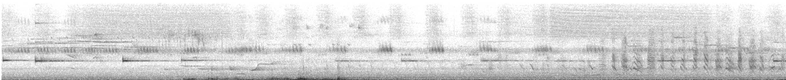 Variegated Fairywren - ML646165990