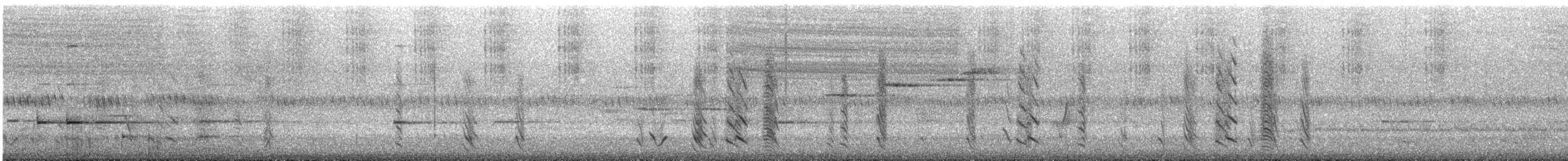 Spangled Drongo - ML646166006