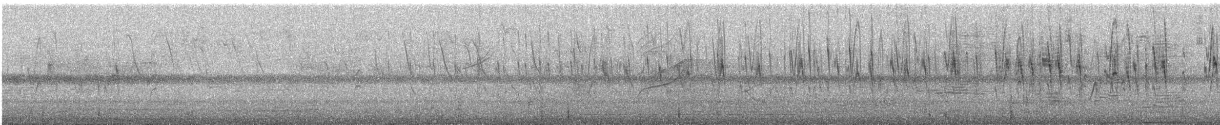 Short-tailed Swift - ML646166365