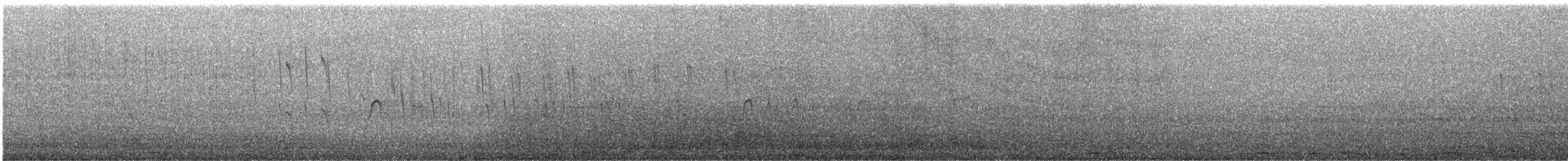 Short-tailed Swift - ML646166366