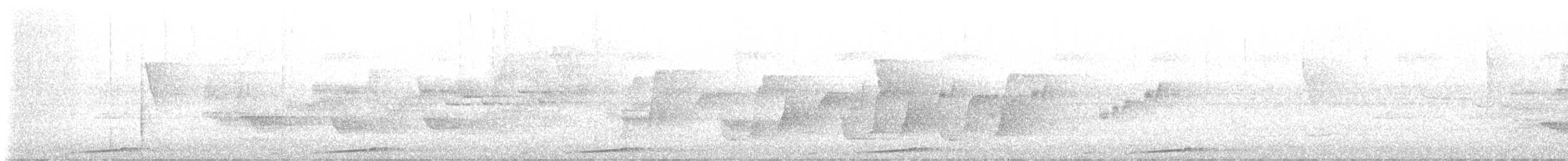 Maronentaube - ML646166532