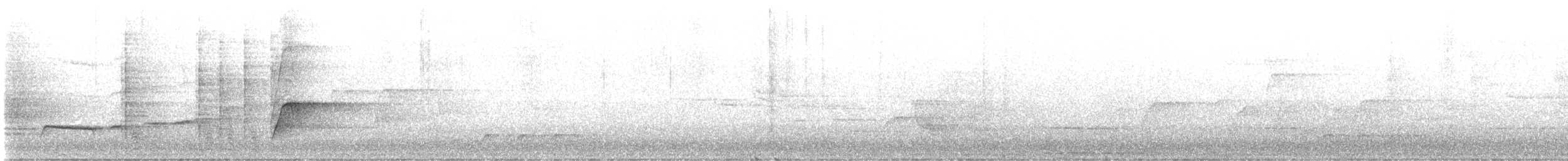 Tooth-billed Bowerbird - ML646166621