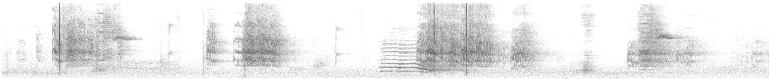 Yellow-chevroned Parakeet - ML646166655