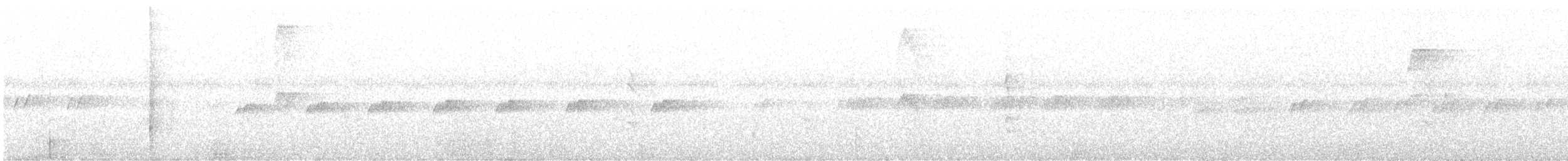 Dull-mantled Antbird - ML646166663