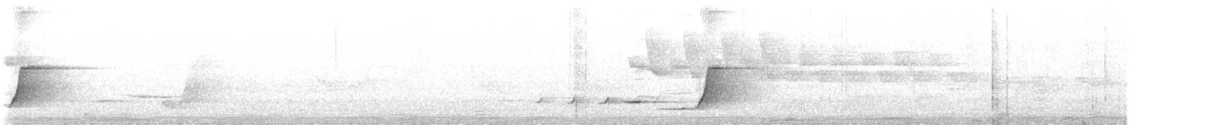 Silbador Dorado - ML646166707