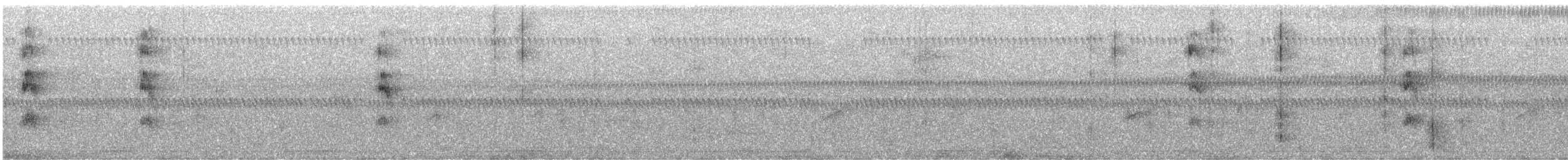 Pico de Florida - ML646166708