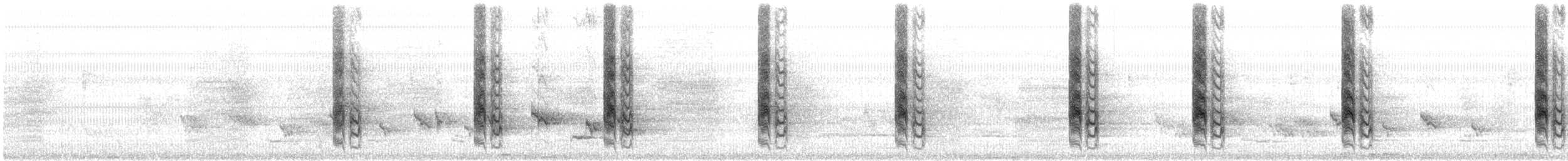 Schachwürger - ML646166741