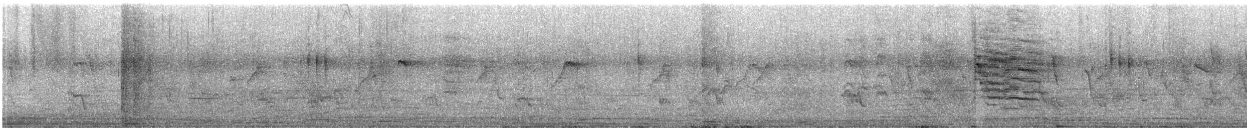 Red-breasted Flycatcher - ML646166788