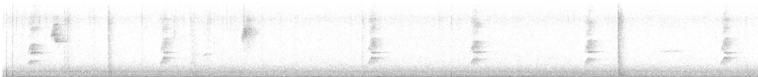 Noisy Miner - ML646166909