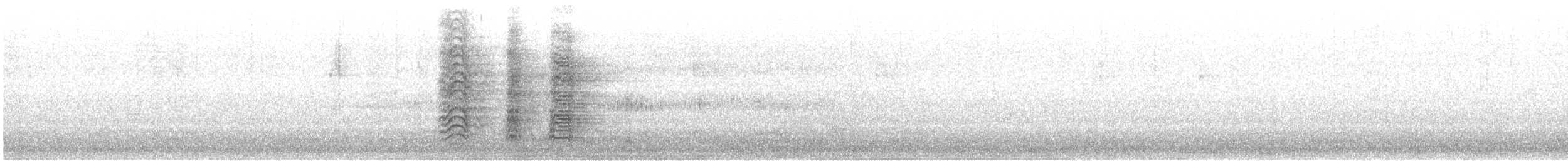 Mitred Parakeet - ML646167531