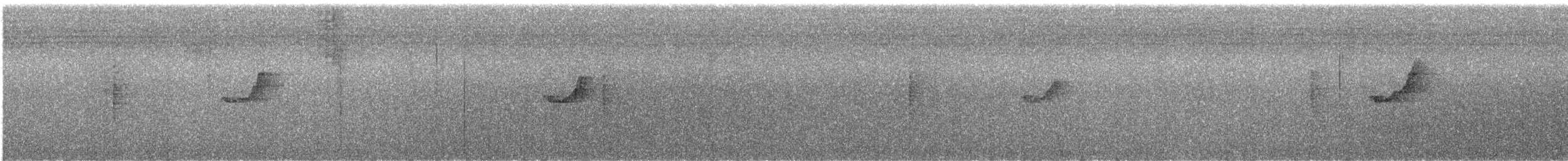 Tytler's Leaf Warbler - ML646168142