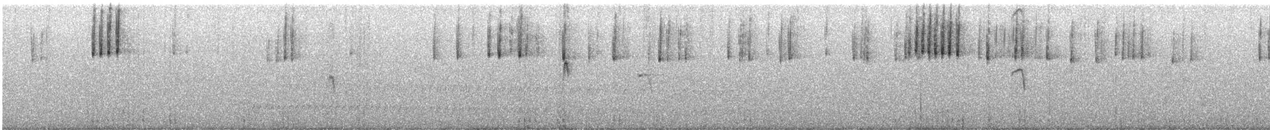 Dark-eyed Junco (Oregon) - ML646168227