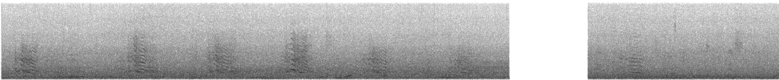 Kaio domingotarra - ML646168529